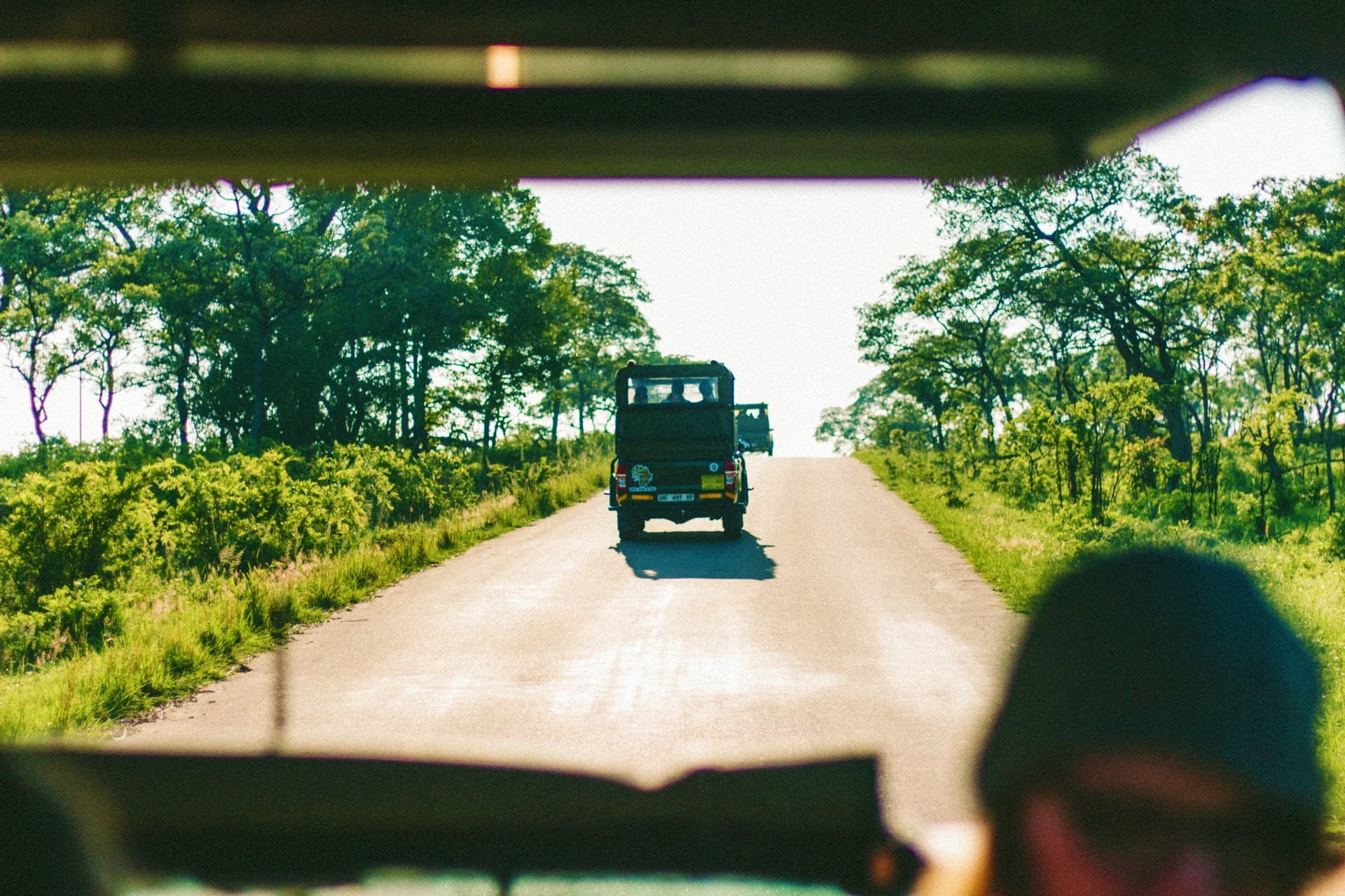 annakate-auten-9Eps5tTicWw-unsplash